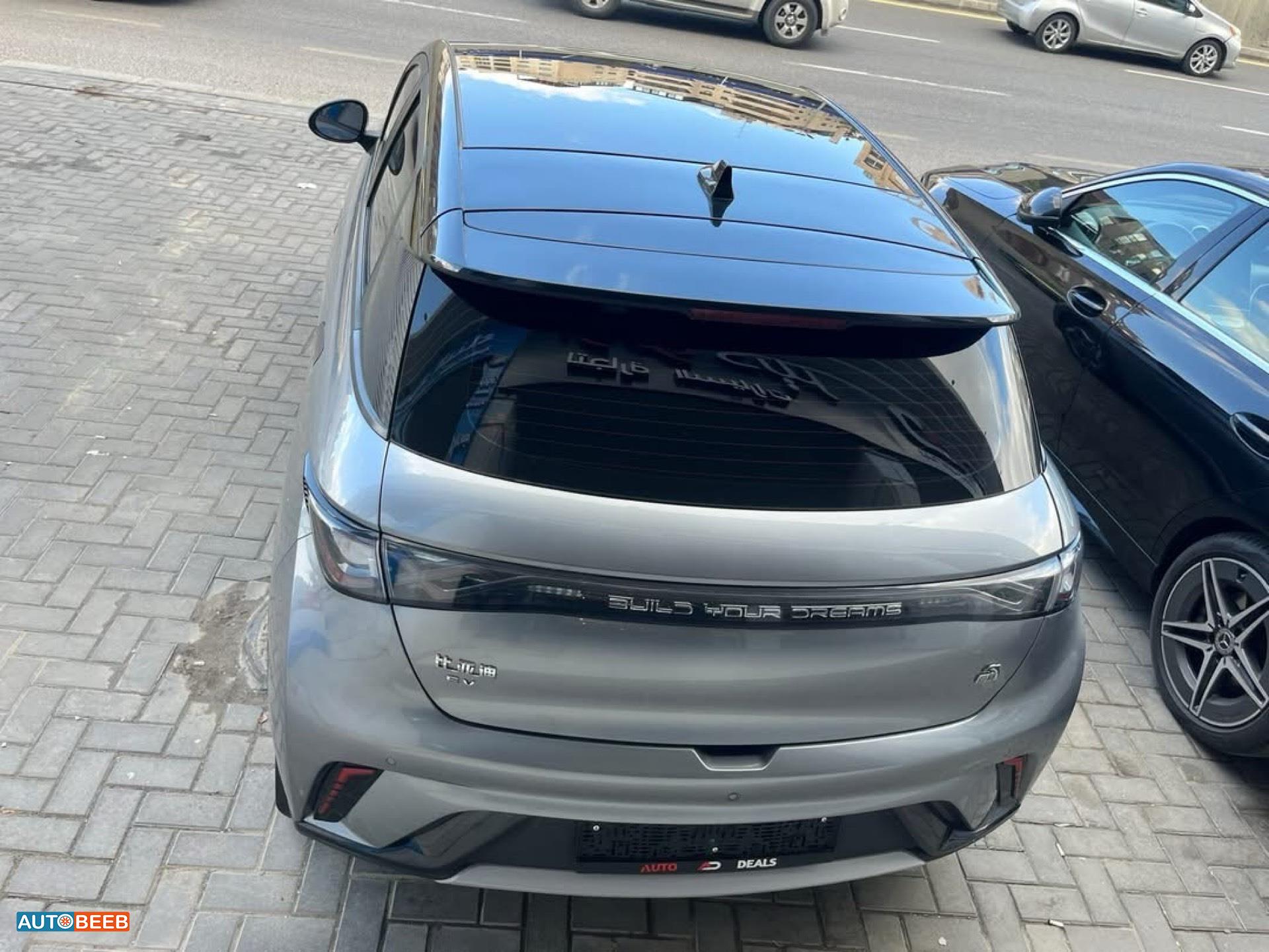 بي واي دي دولفين 2022