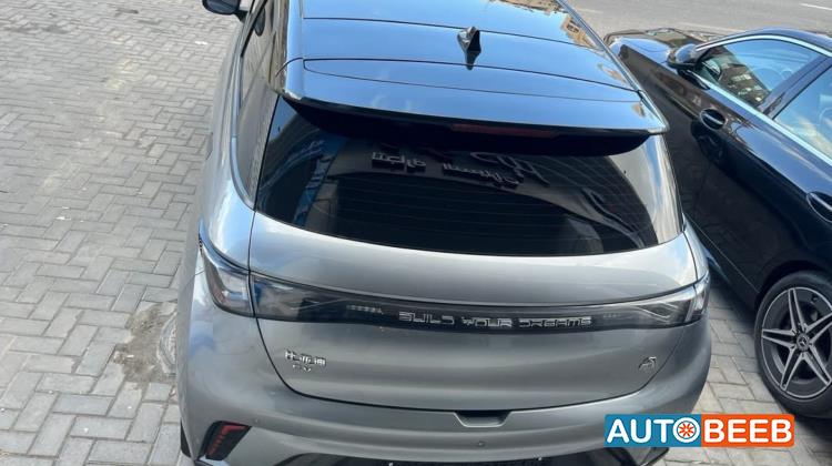 بي واي دي دولفين 2022