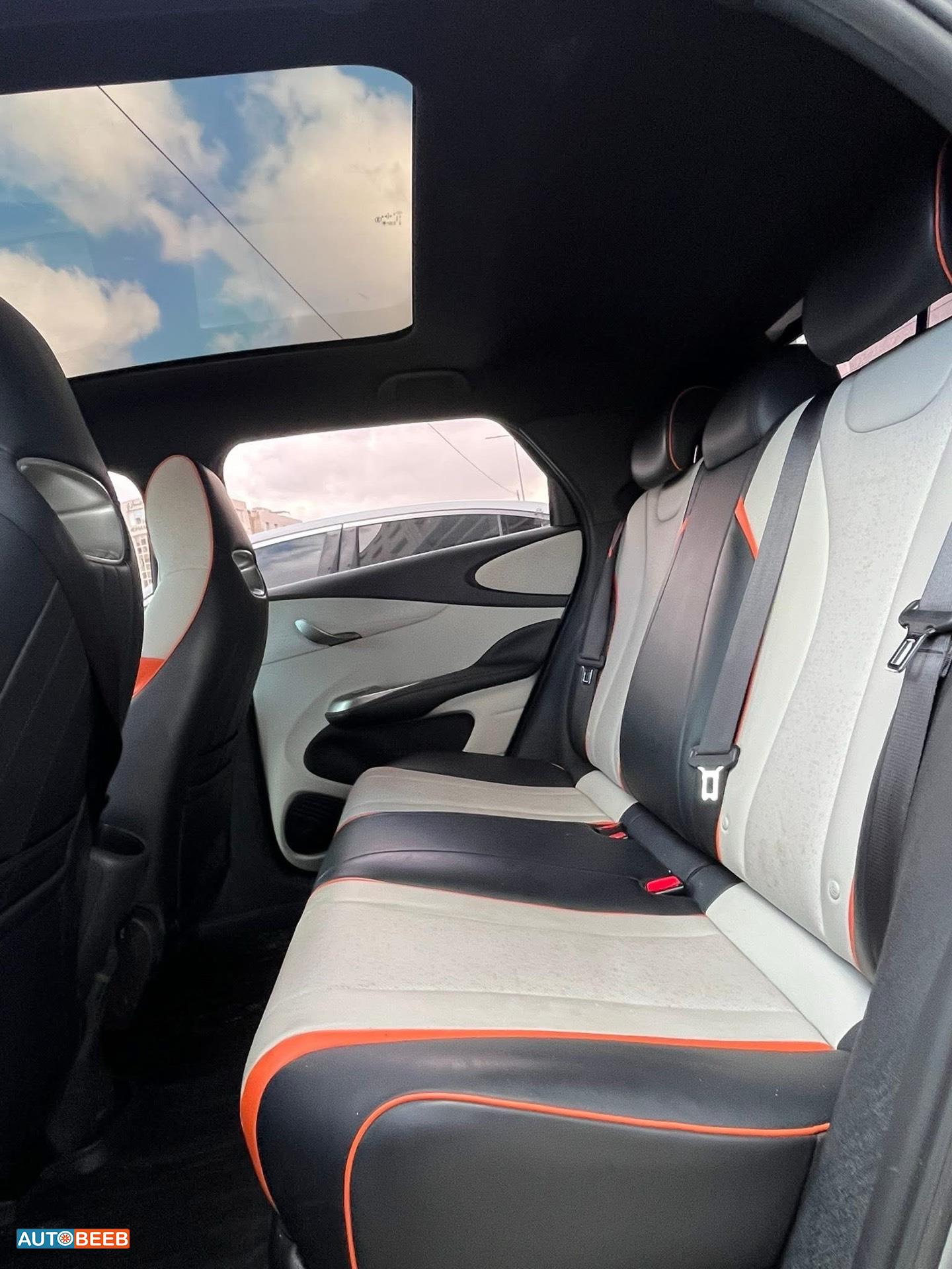 بي واي دي دولفين 2022