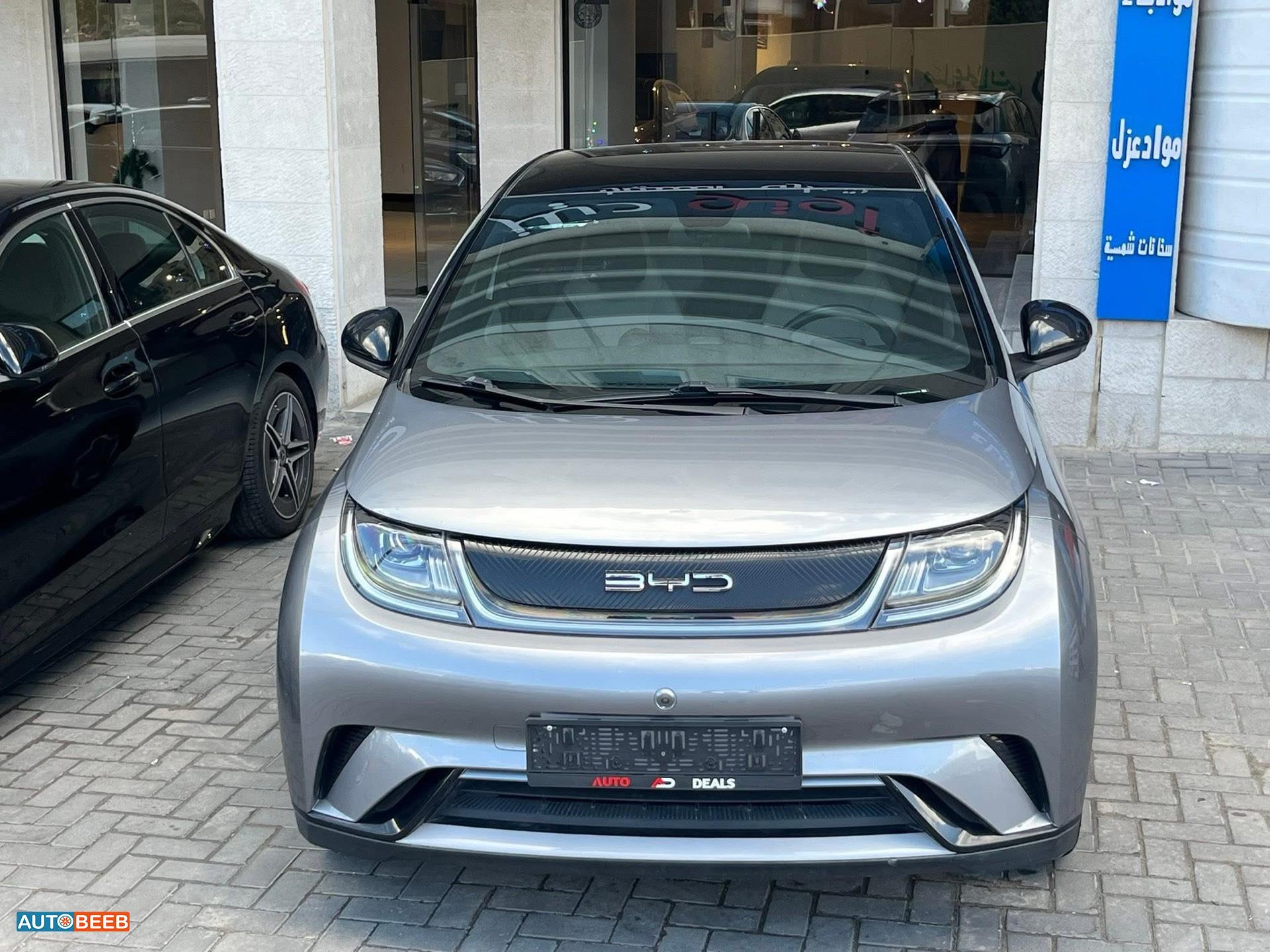 بي واي دي دولفين 2022