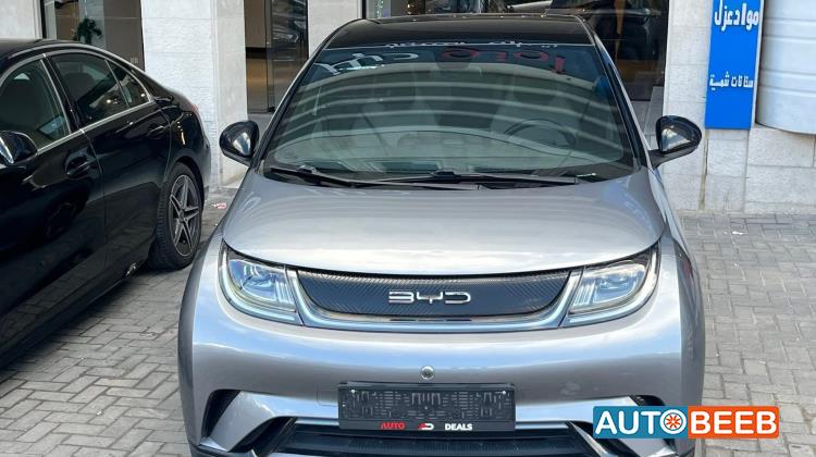 بي واي دي دولفين 2022