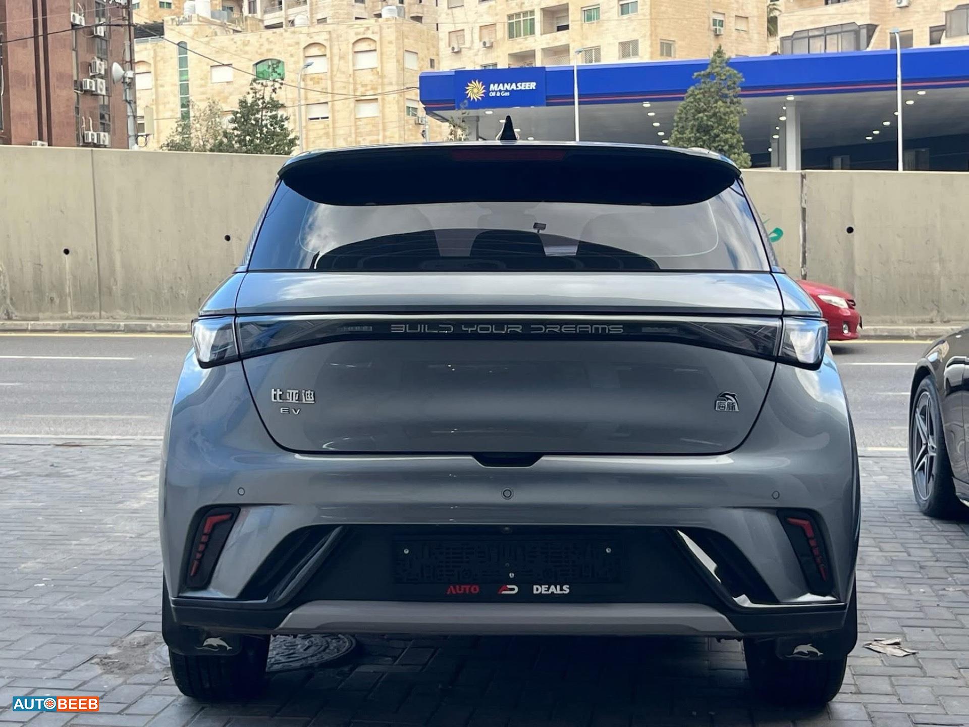 بي واي دي دولفين 2022