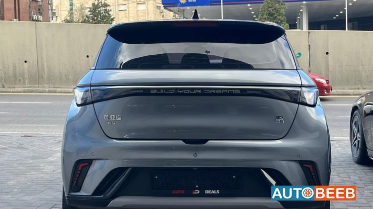 بي واي دي دولفين 2022