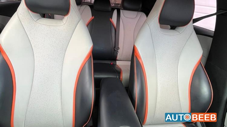 بي واي دي دولفين 2022