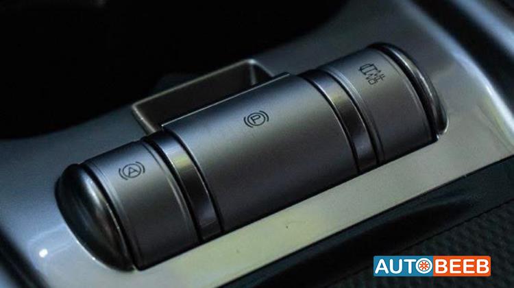 بي واي دي دولفين 2022