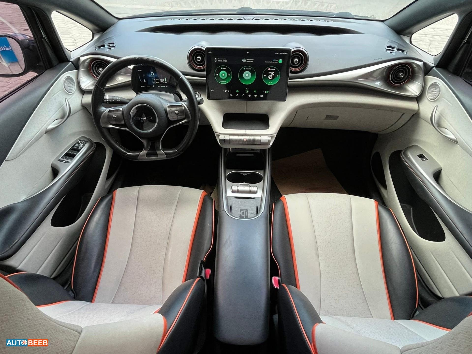 بي واي دي دولفين 2022