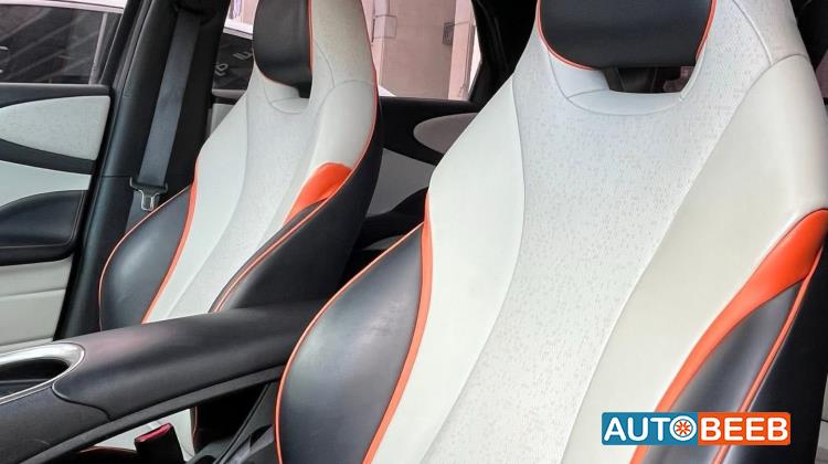 بي واي دي دولفين 2022