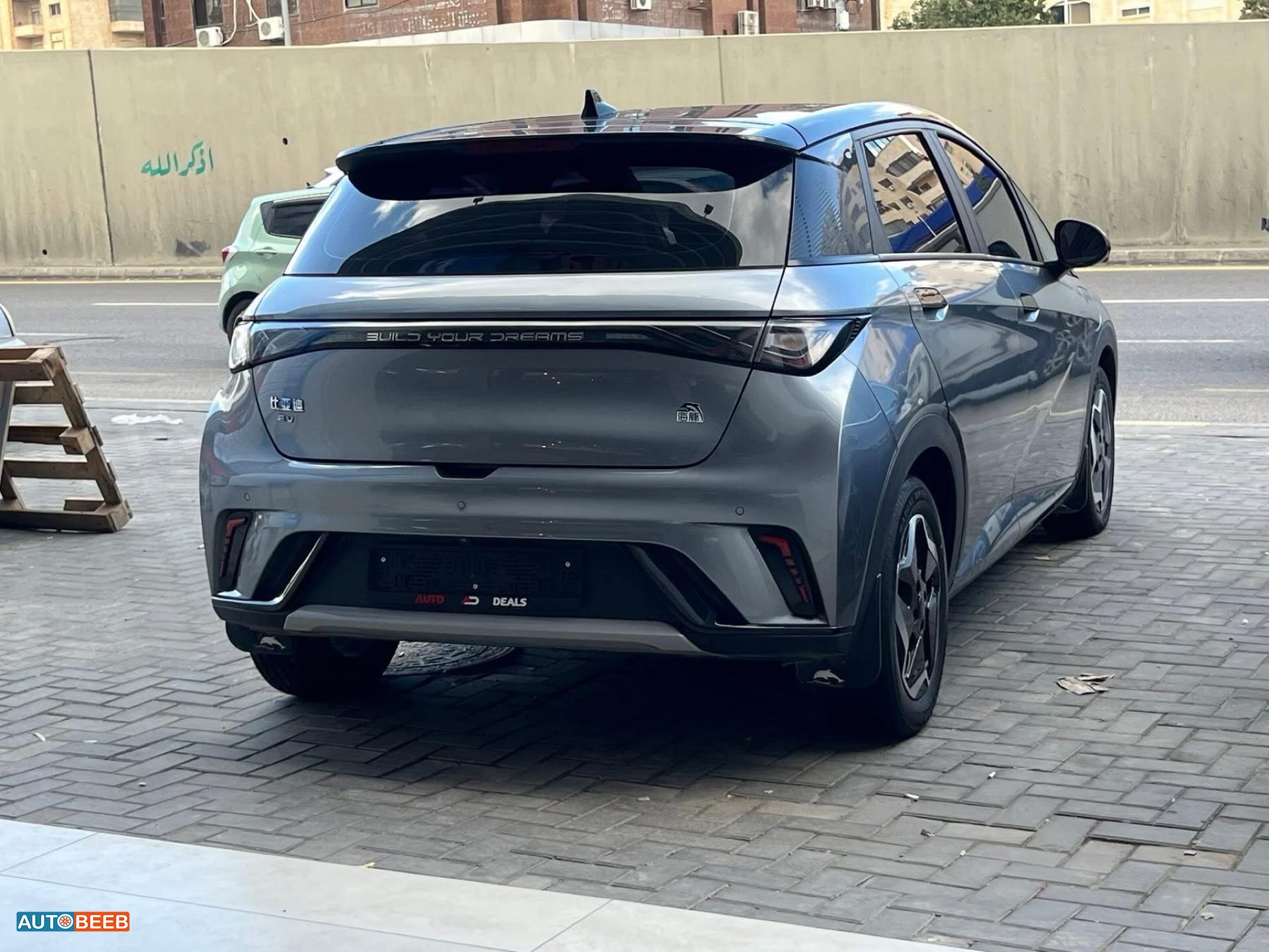 بي واي دي دولفين 2022