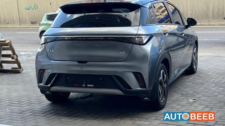 بي واي دي دولفين 2022