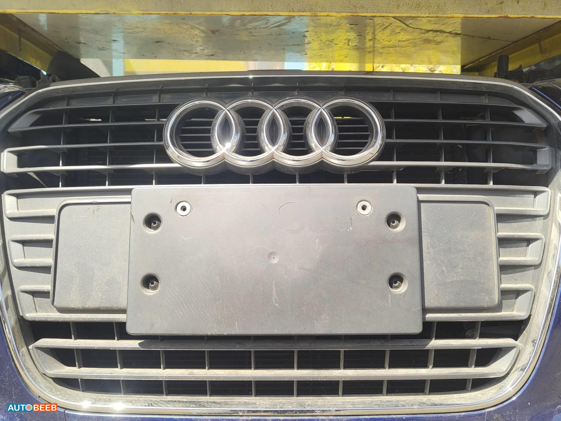 Body  Grilles Audi A1