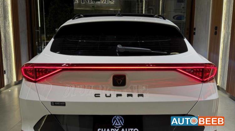 كوبرا فورمنتور 2024