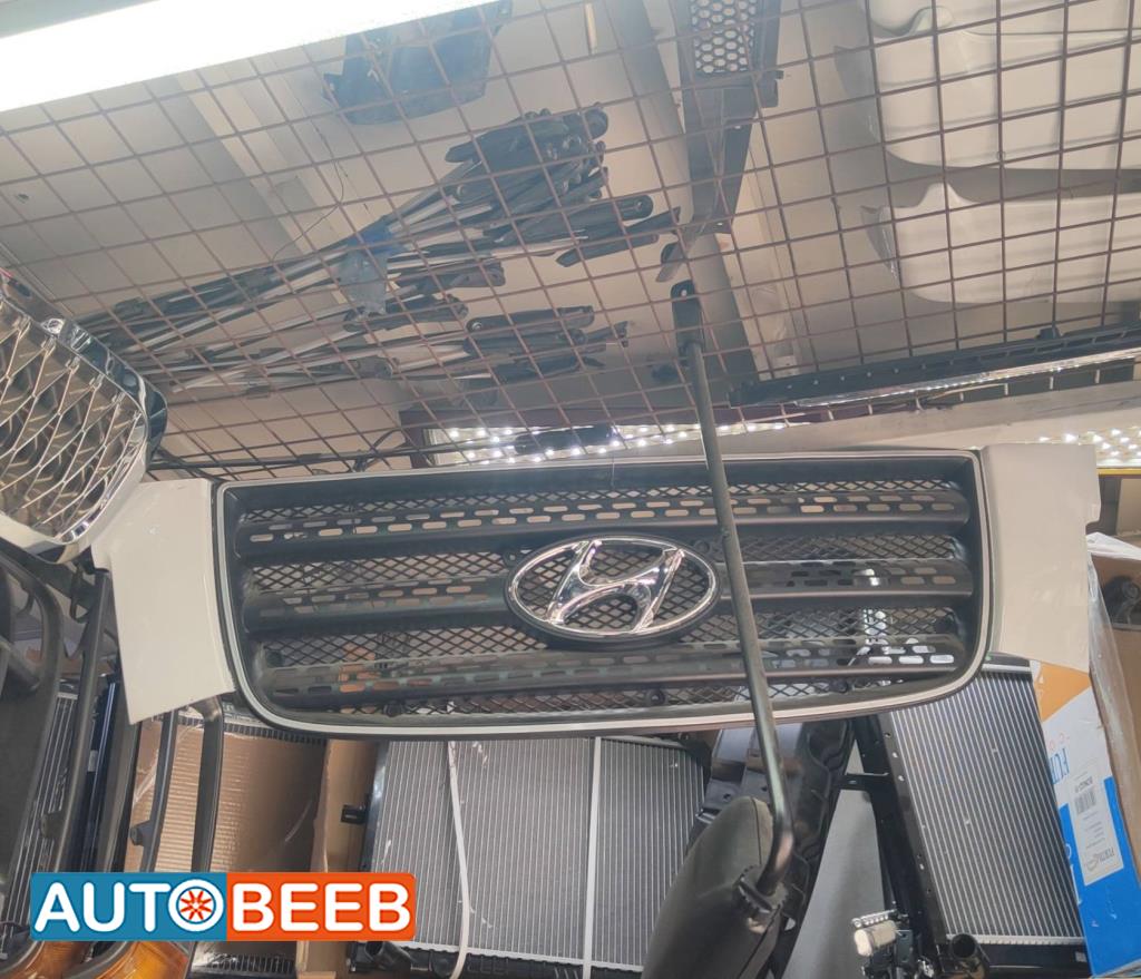 Body  Grilles Hyundai 