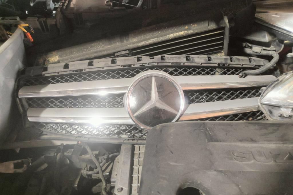 Body  Grilles Mercedes Benz B250