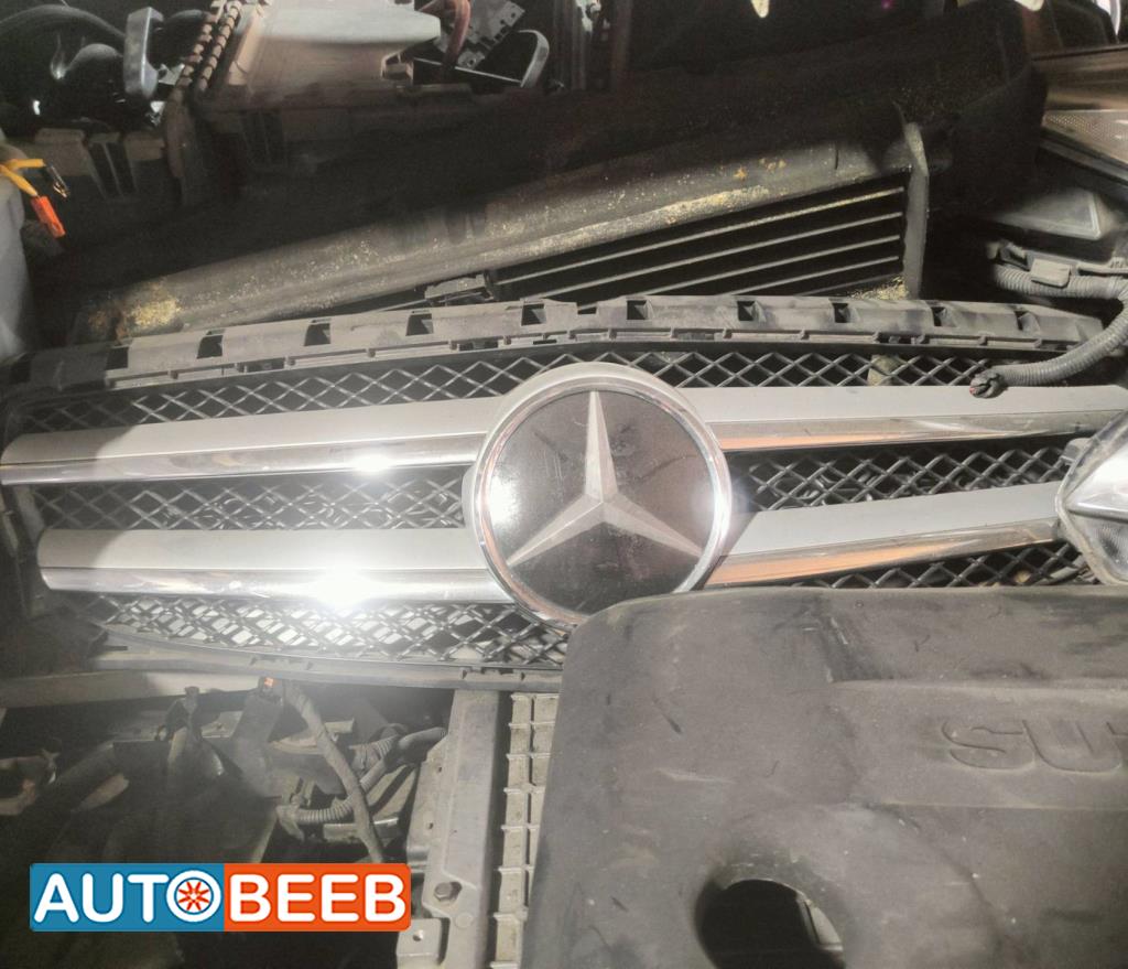 Body  Grilles Mercedes Benz B250