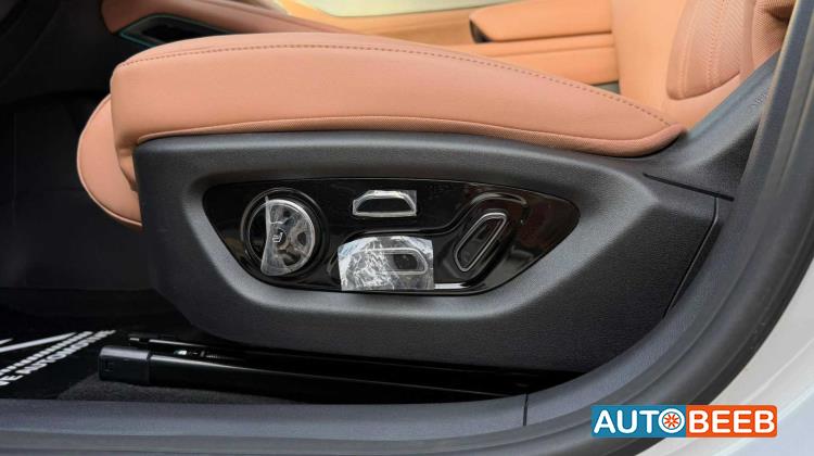 بي واي دي سونج ل 2025