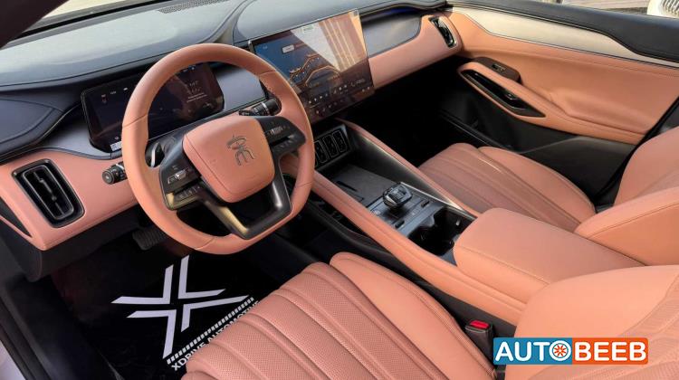 بي واي دي سونج ل 2025