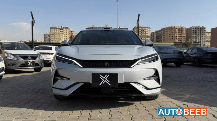 بي واي دي سونج ل 2025