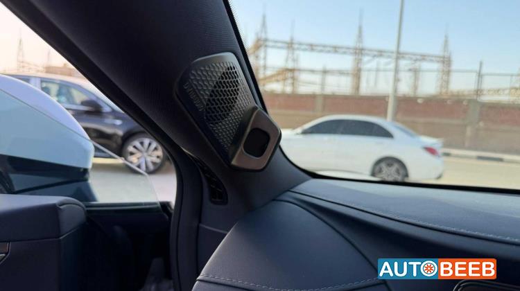 بي واي دي سونج ل 2025