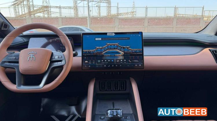 بي واي دي سونج ل 2025