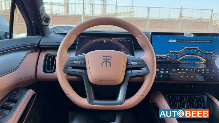 بي واي دي سونج ل 2025