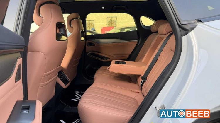 بي واي دي سونج ل 2025