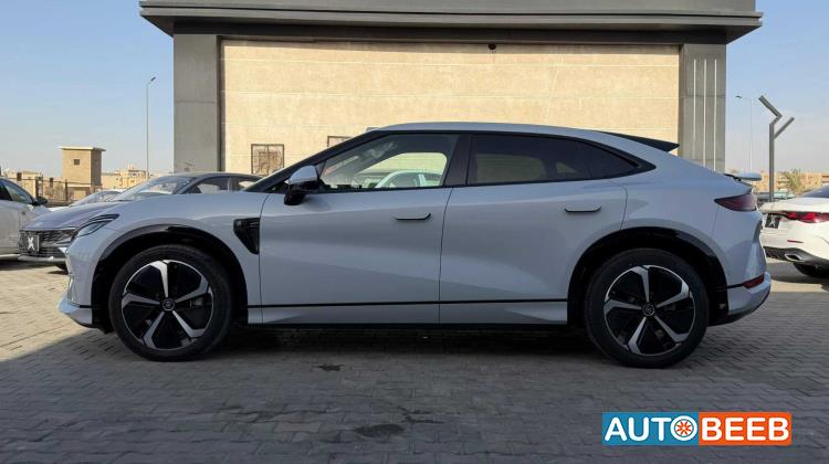 بي واي دي سونج ل 2025