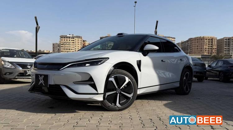 بي واي دي سونج ل 2025