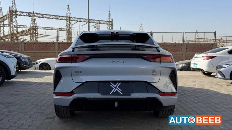 بي واي دي سونج ل 2025