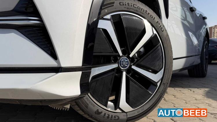 بي واي دي سونج ل 2025