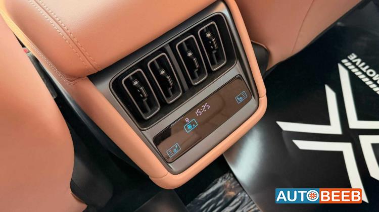 بي واي دي سونج ل 2025