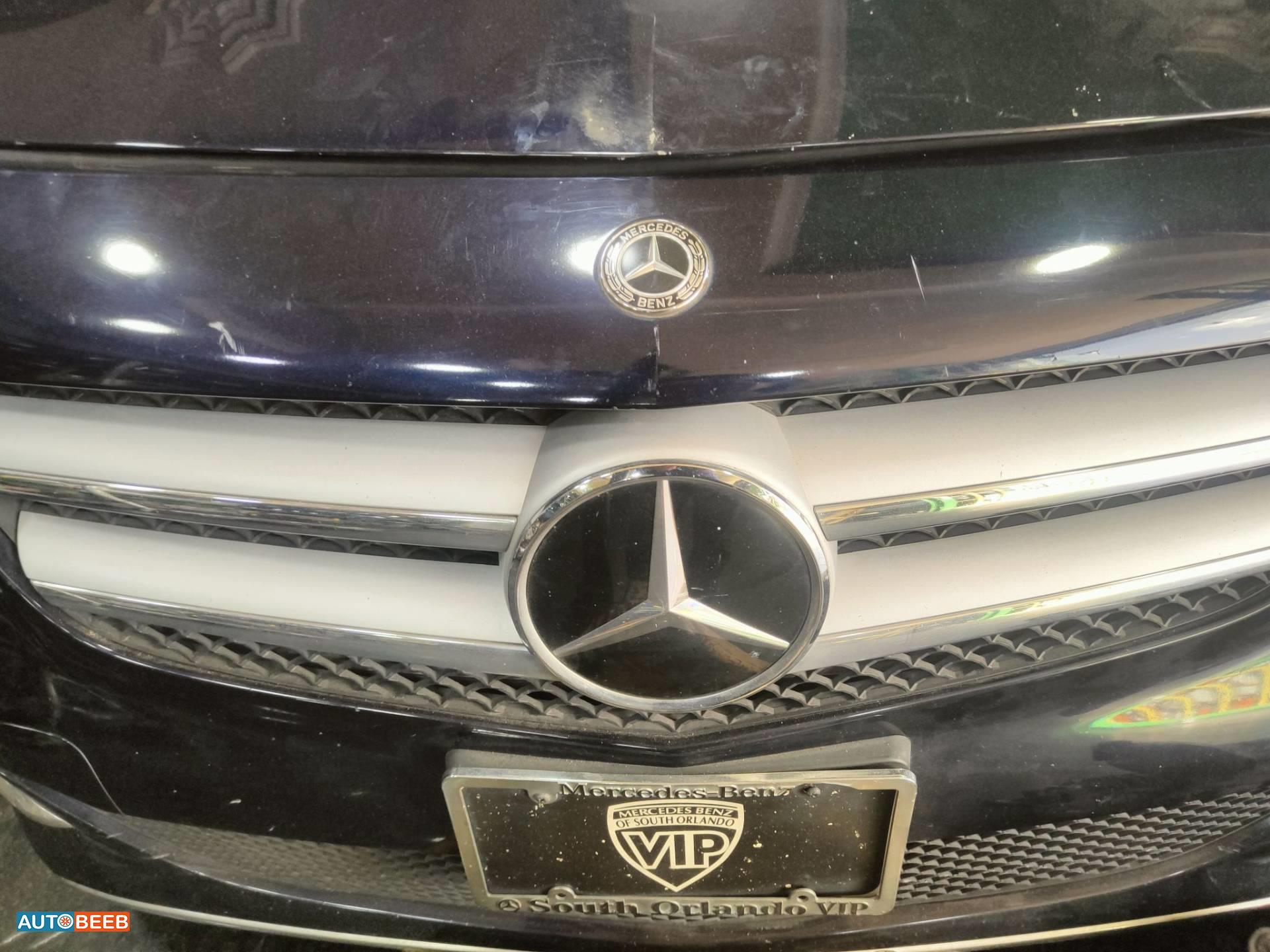 Body  Grilles Mercedes Benz B250