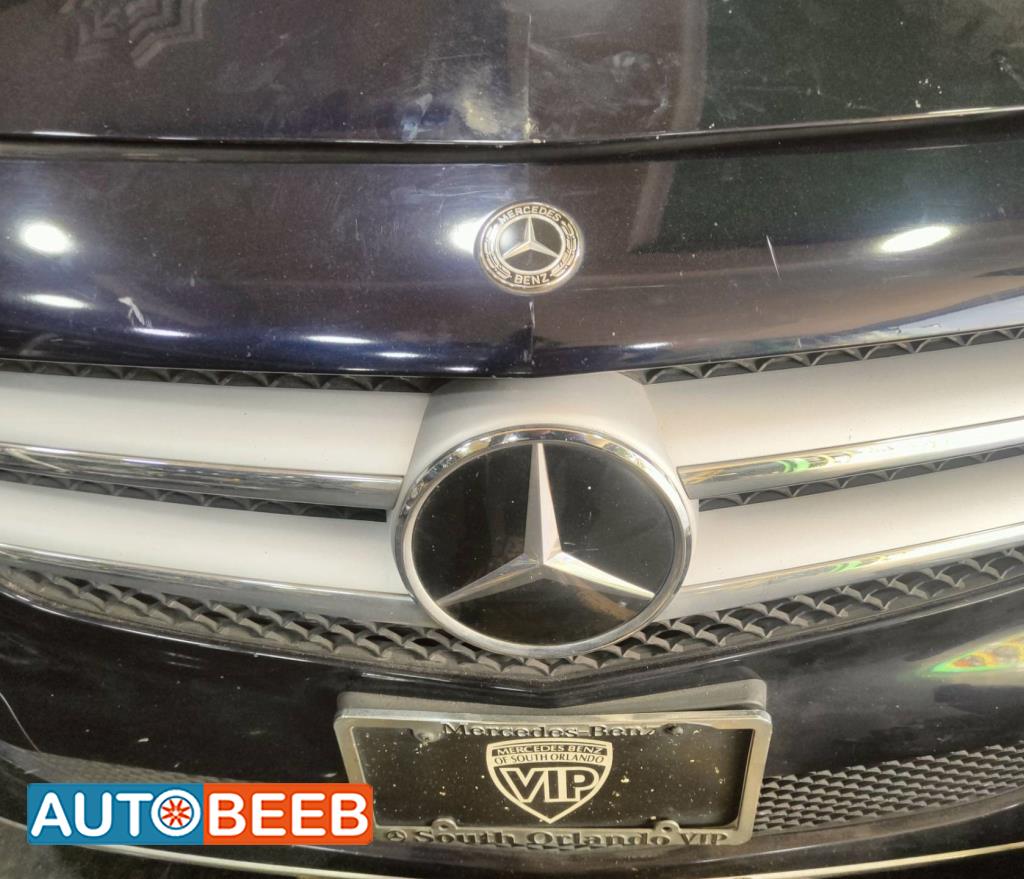 Body  Grilles Mercedes Benz B250