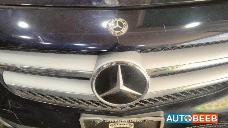 Body  Grilles Mercedes Benz B250