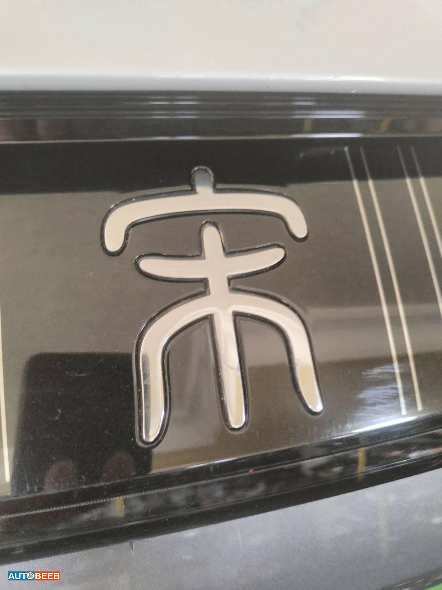 Body  Emblems BYD Song L