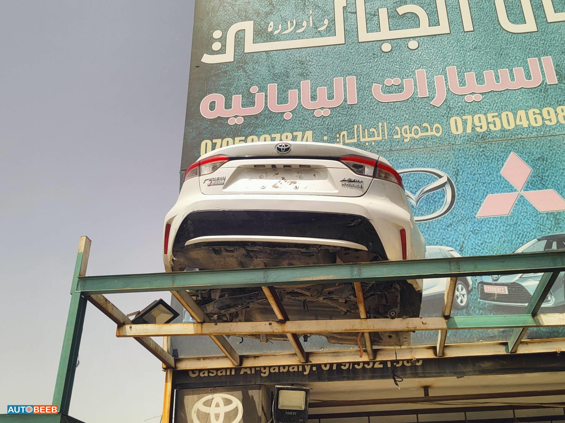 Body  Front clip Toyota Corolla