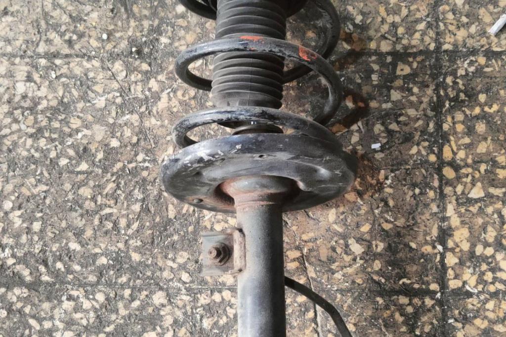 صنوبرص أمامي نيسان التيما 2010 2011