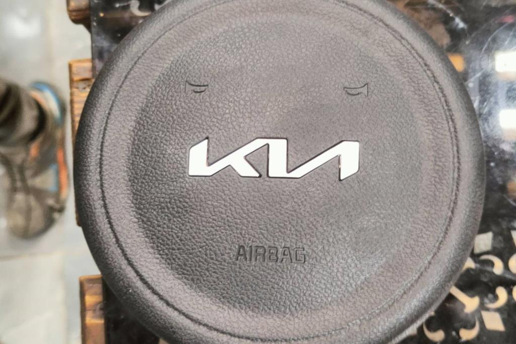 Cabin  Steering Wheel KIA Niro