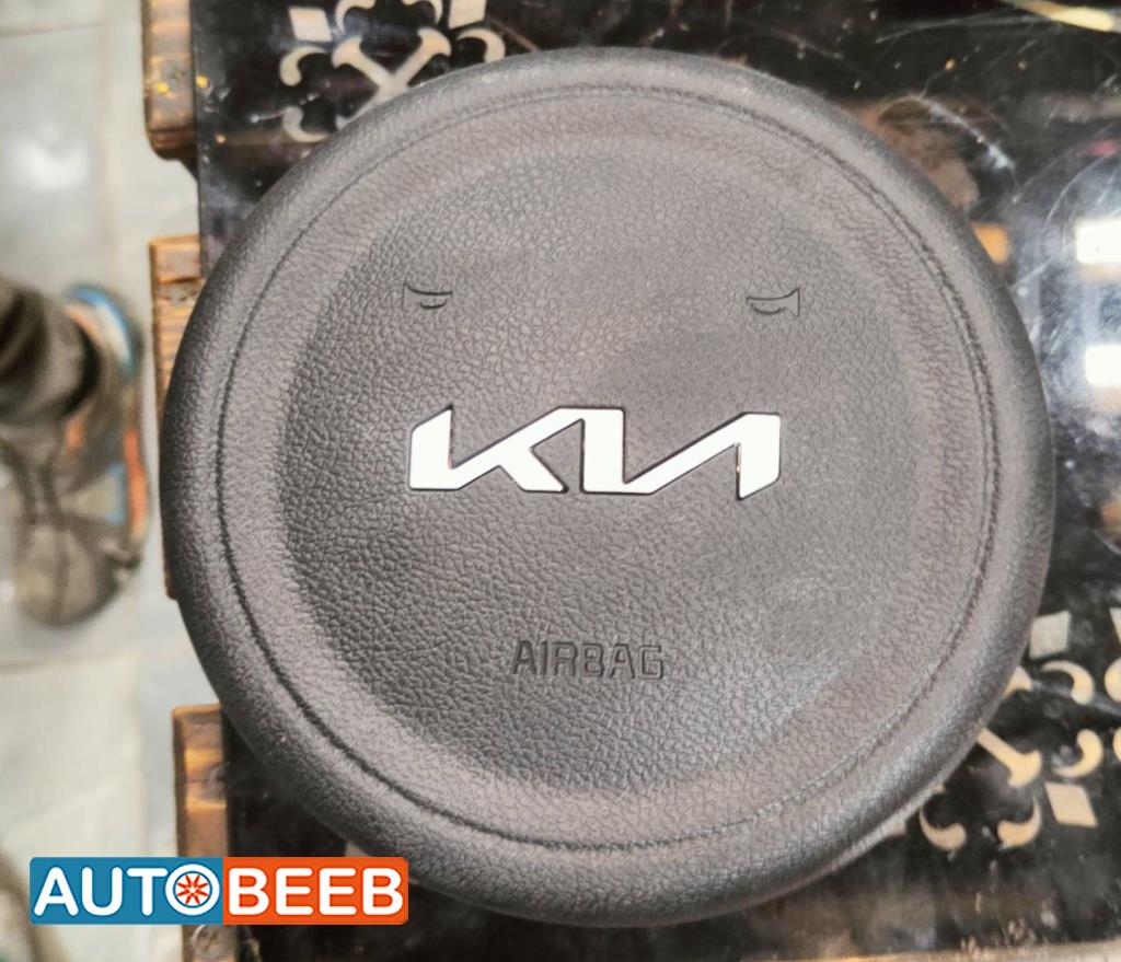 Cabin  Steering Wheel KIA Niro