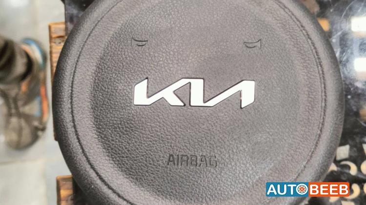 Cabin  Steering Wheel KIA Niro