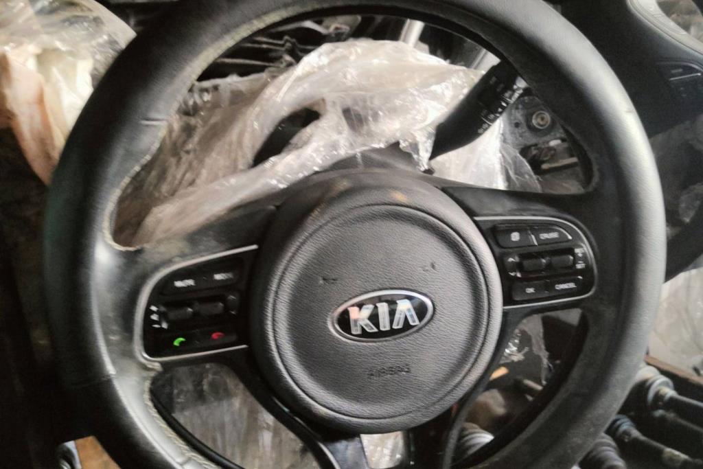 Cabin  Steering Wheel KIA Niro