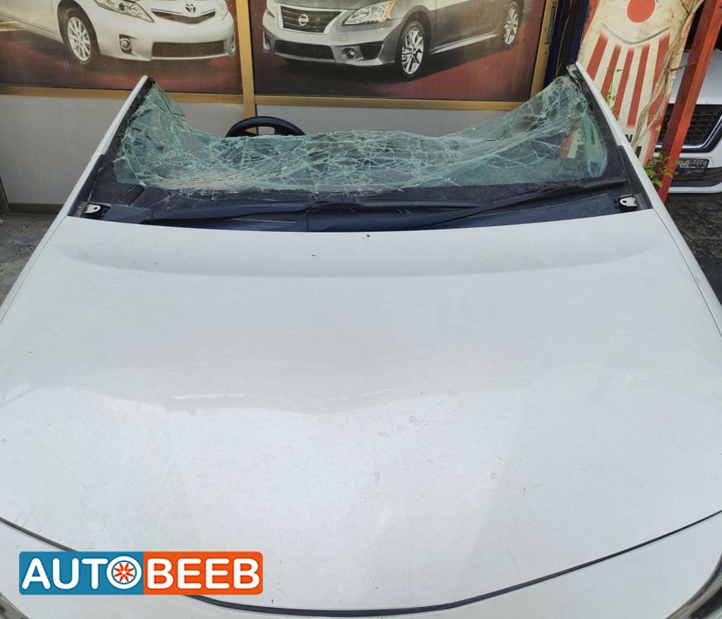 غطاء محرك تويوتا بريوس في 2018 2019