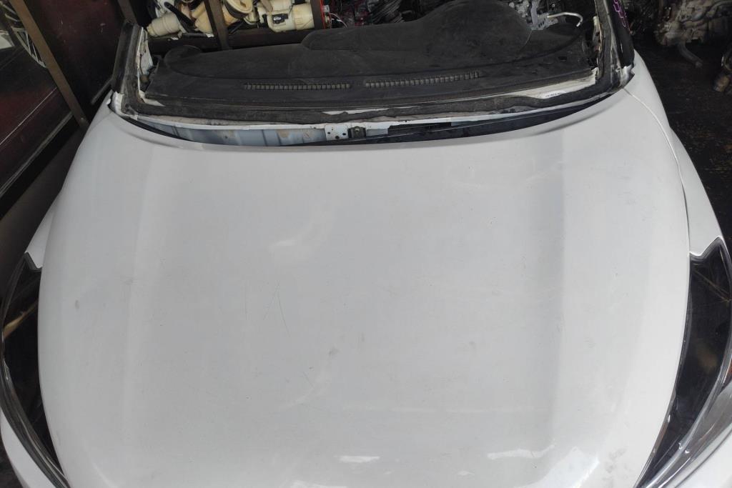 غطاء محرك نيسان كيكس 2021 2022