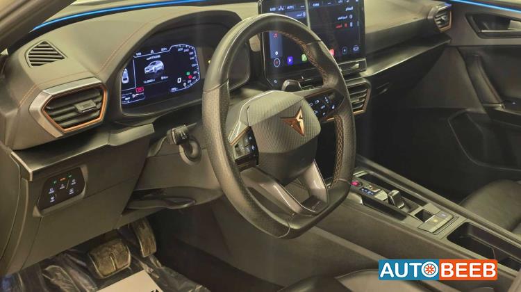 كوبرا ليون 2024