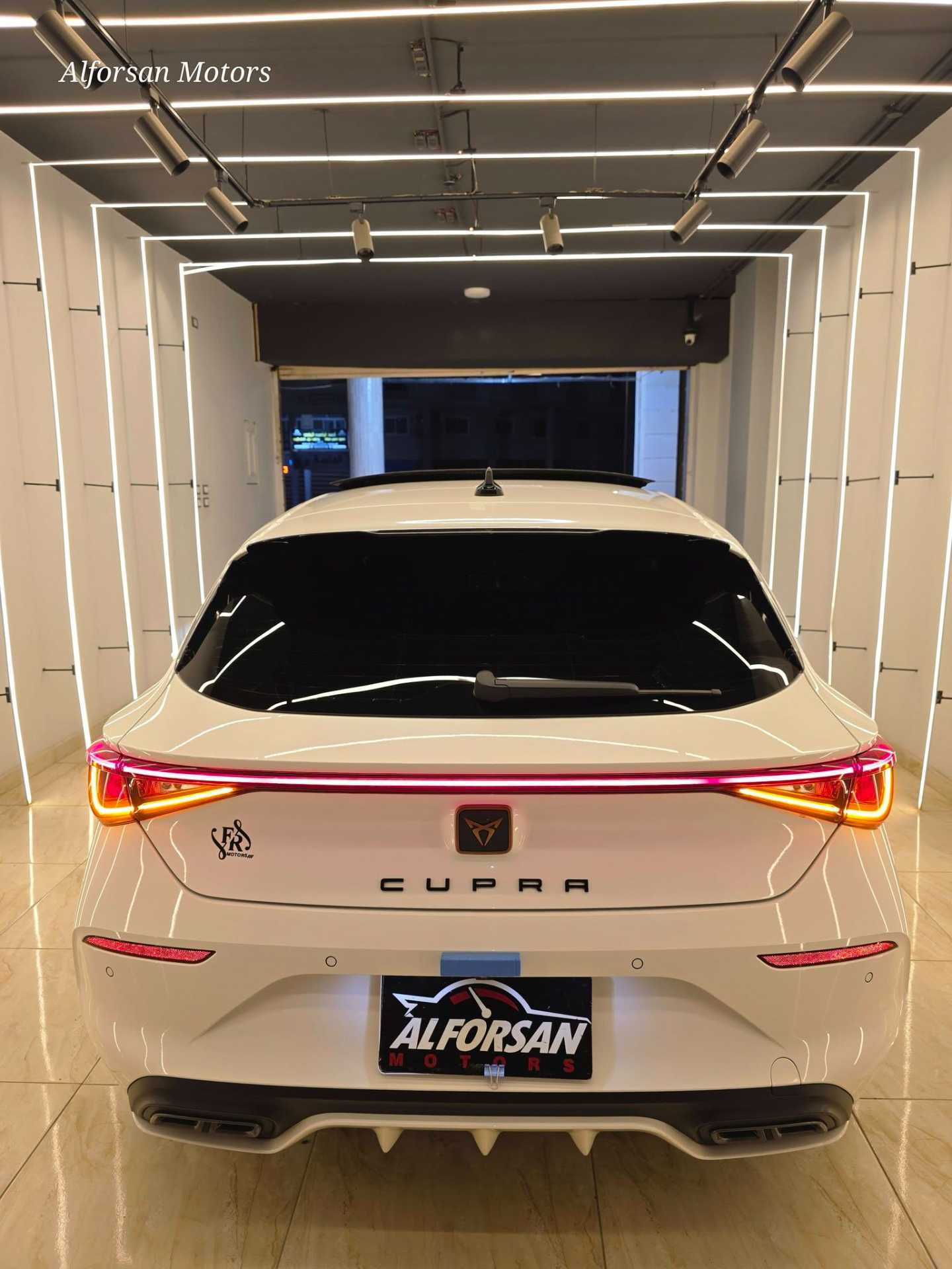 كوبرا ليون 2024