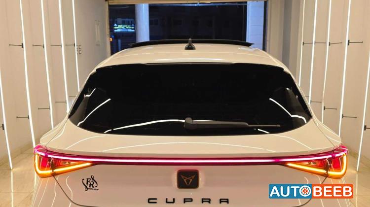 كوبرا ليون 2024