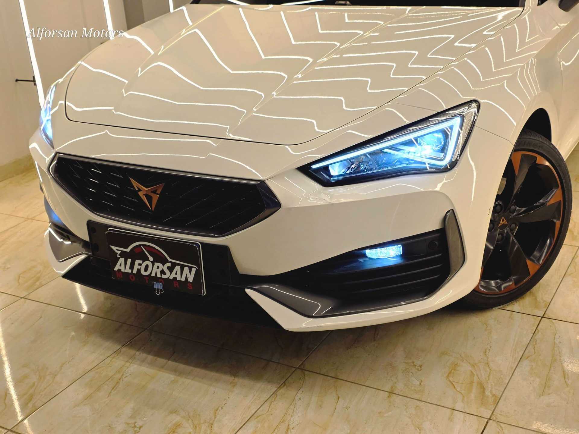 كوبرا ليون 2024