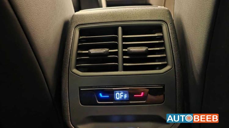 كوبرا ليون 2024