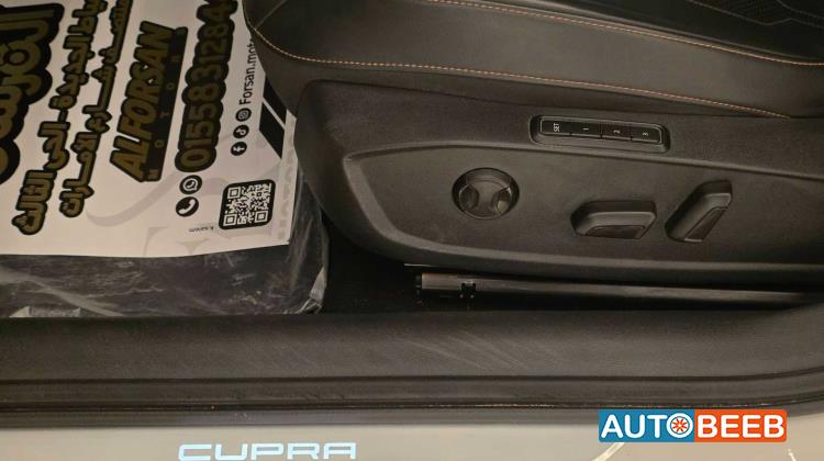 كوبرا ليون 2024