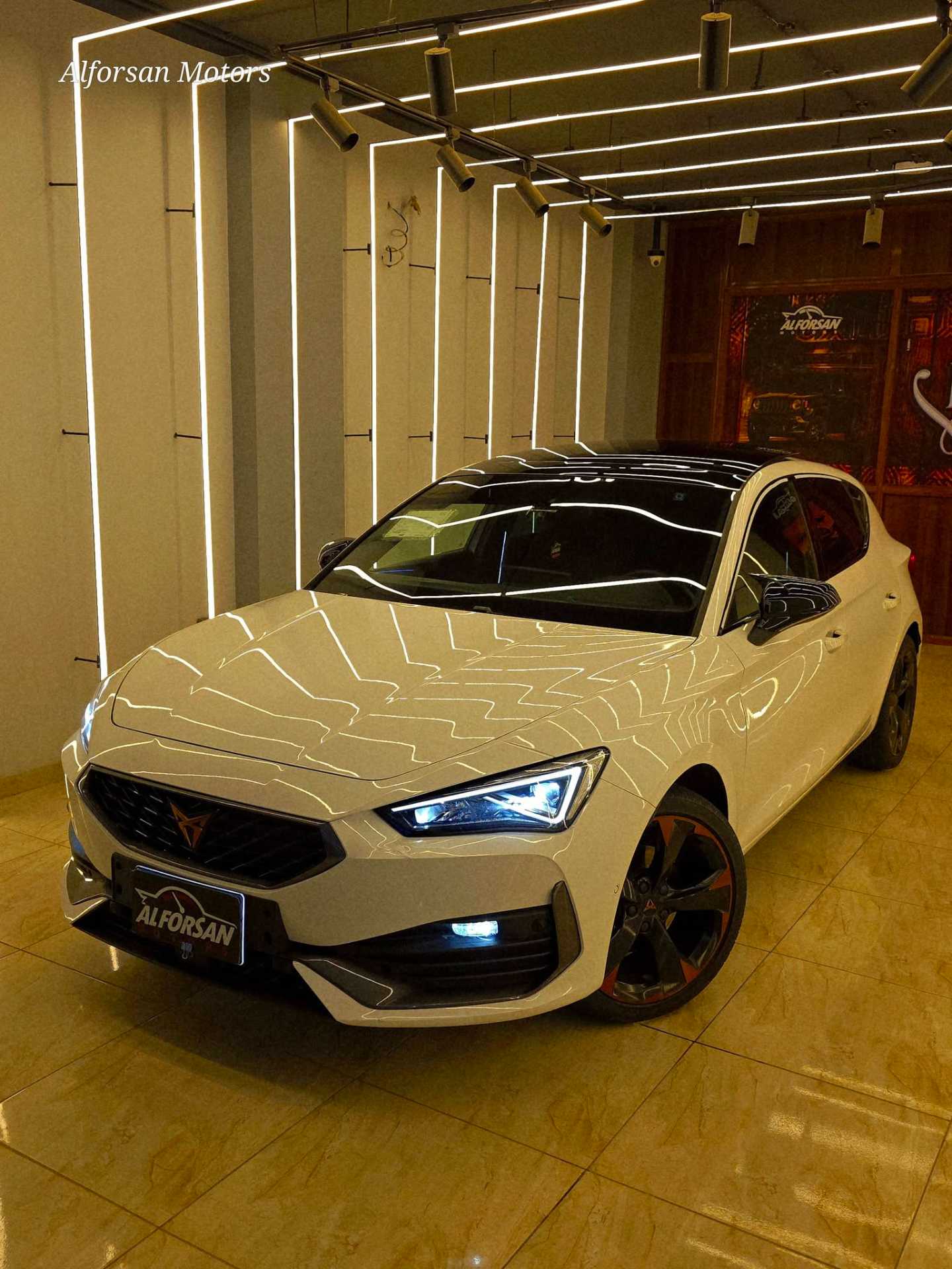 كوبرا ليون 2024