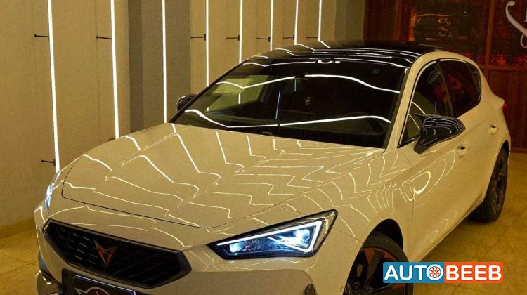 كوبرا ليون 2024